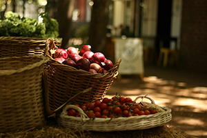 Beautiful baskets of berries in an inviting setting